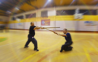 tai chi sword applications